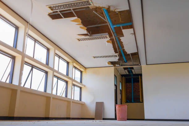 Best Water damage restoration process  in Vass, NC