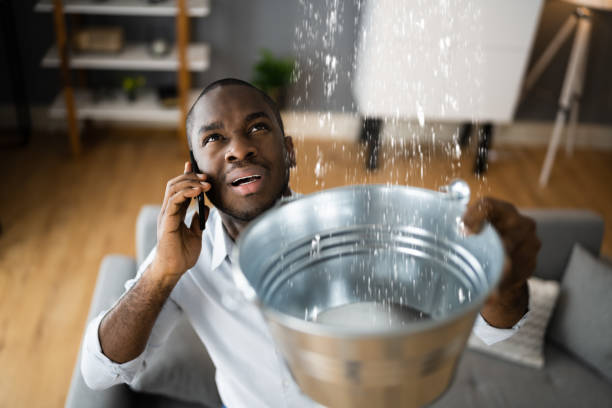 Best Water damage restoration insurance claims  in Vass, NC