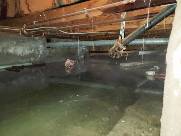 Best Flood restoration services  in Vass, NC