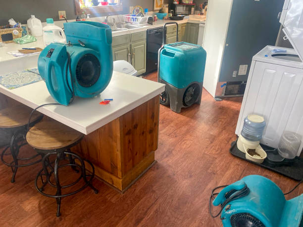 Best Water damage restoration near me  in Vass, NC