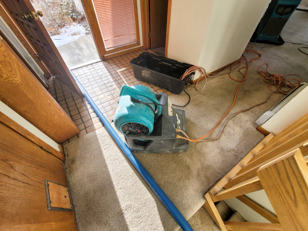 Best Flooded house restoration  in Vass, NC