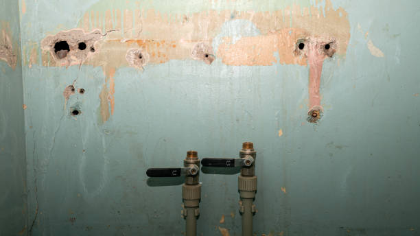 Best Water damage restoration services  in Vass, NC