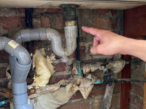 Best Water damage contractors near me  in Vass, NC