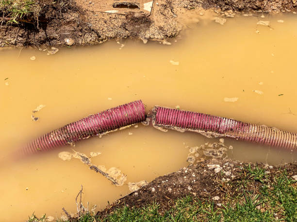 Best Flood damage cleanup  in Vass, NC