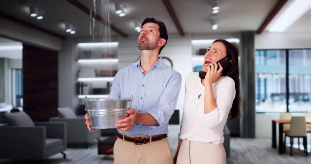 Best Mold removal after water damage  in Vass, NC
